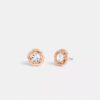 Aretes de roseta de té con halo