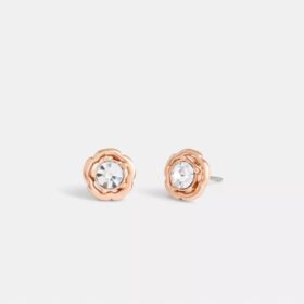 Aretes de roseta de té con halo