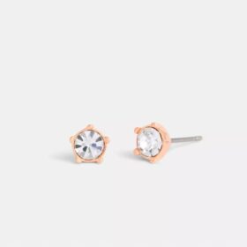Aretes de roseta de té con halo