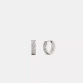 Aretes Huggie Pava C