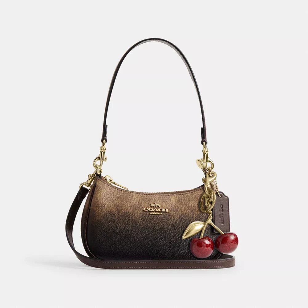 Bolso mini cruzado Teri en lona Signature Canvas
