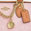 Bolso mini Rowan de bandolera en Signature Canvas con Charms