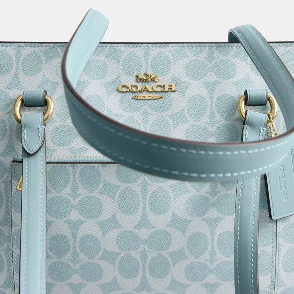 Bolsos Tote Signature Canvas