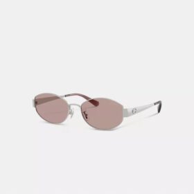 C Hardware: Lentes de sol ovalados estrechos de metal