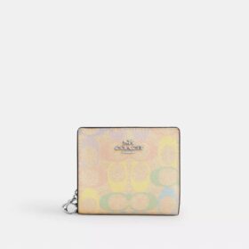 Cartera con cierre a presión en Signature Canvas arcoíris