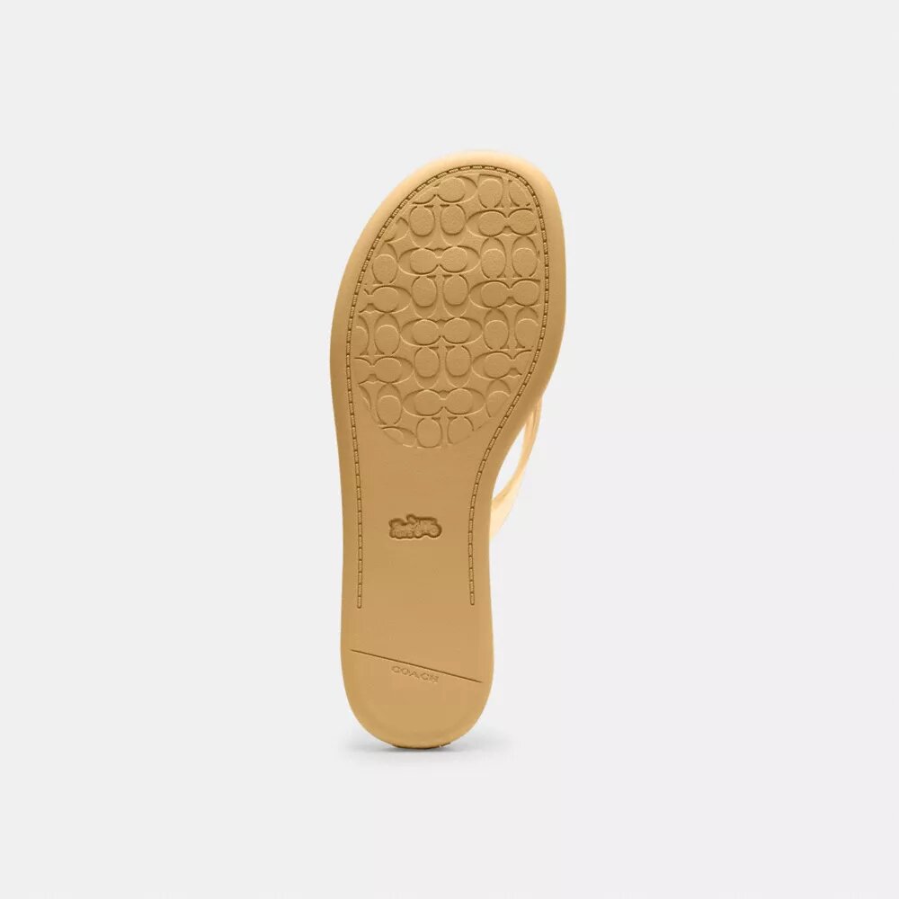 Chanclas de gel en diseño exclusivo