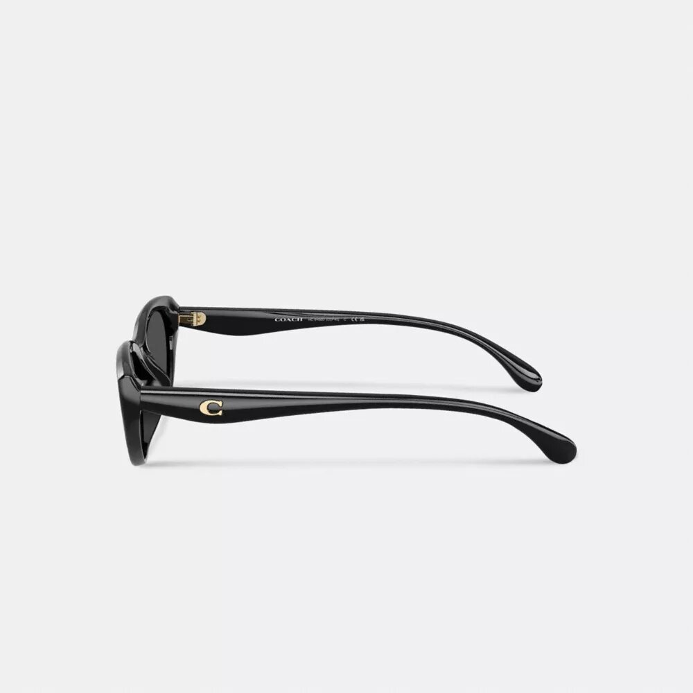 Gafas de sol ovaladas estilo «ojo de gato» con detalles dorados