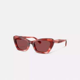 Gafas de sol tipo «ojo de gato» con montura de alambre