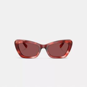 Gafas de sol tipo «ojo de gato» con montura de alambre