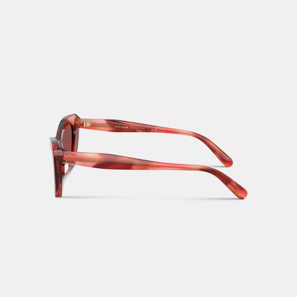 Gafas de sol tipo «ojo de gato» con montura de alambre