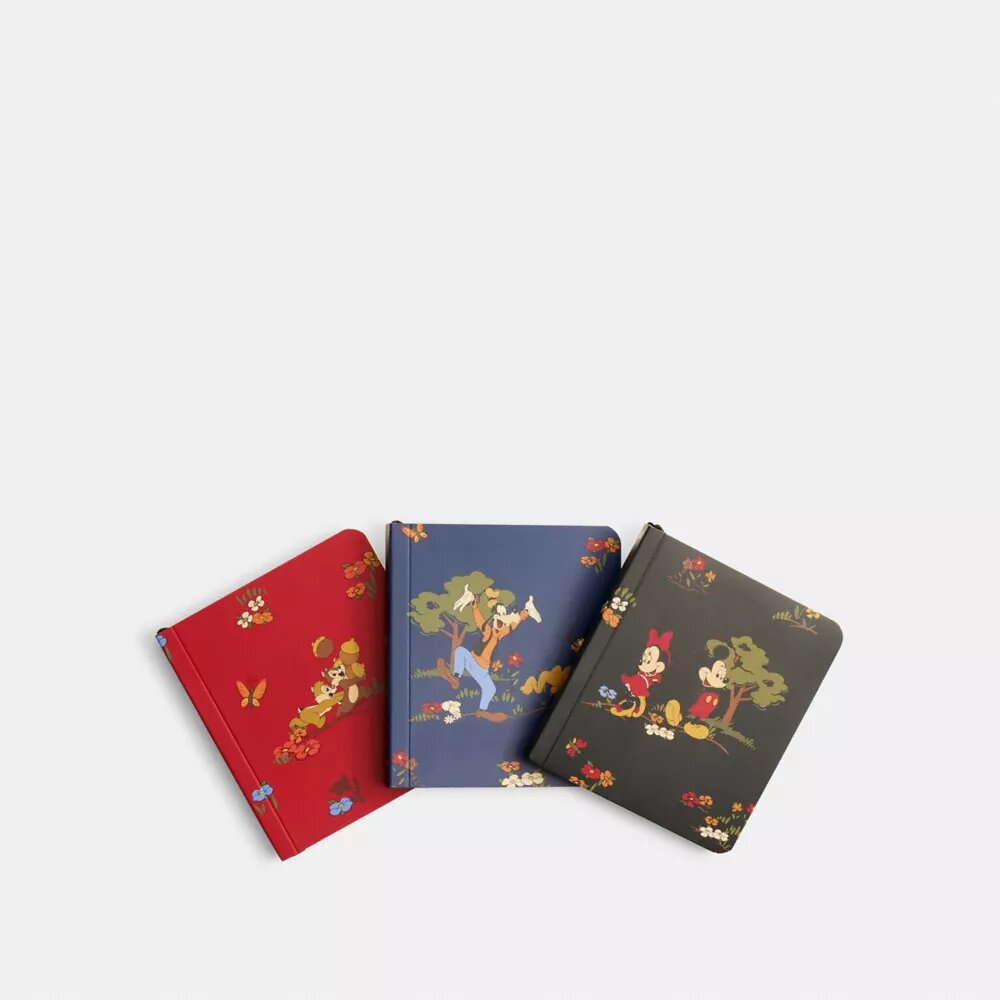 Juego de libretas mini Disney X Coach con Mickey Mouse y sus amigos