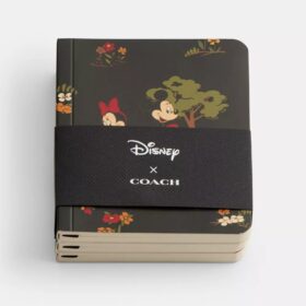 Juego de libretas mini Disney X Coach con Mickey Mouse y sus amigos