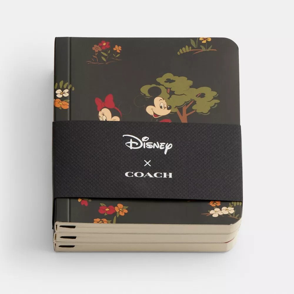 Juego de libretas mini Disney X Coach con Mickey Mouse y sus amigos