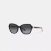 Lentes de sol cuadrados con bisagras y diseño de Horse and Carriage