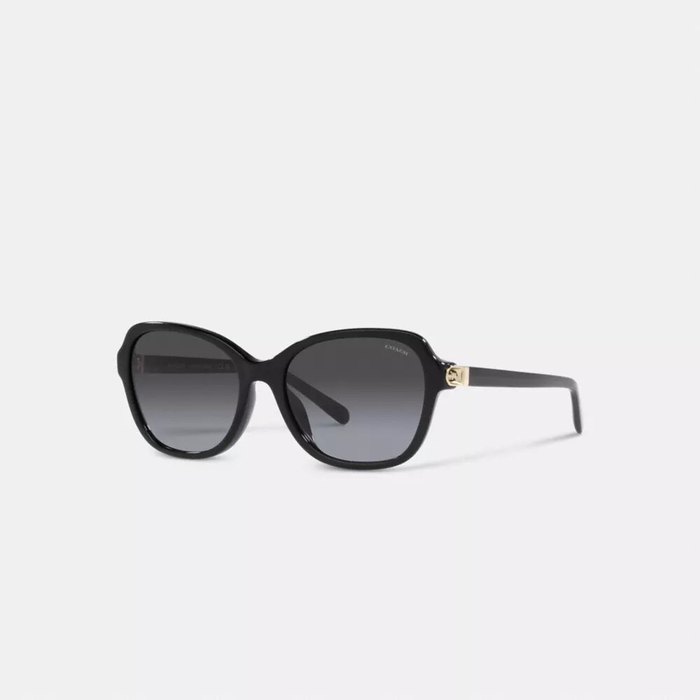 Lentes de sol cuadrados con bisagras y diseño de Horse and Carriage