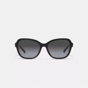 Lentes de sol cuadrados con bisagras y diseño de Horse and Carriage