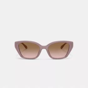 Lentes de sol cuadrados estilo ojo de gato con detalles metálicos en forma de C