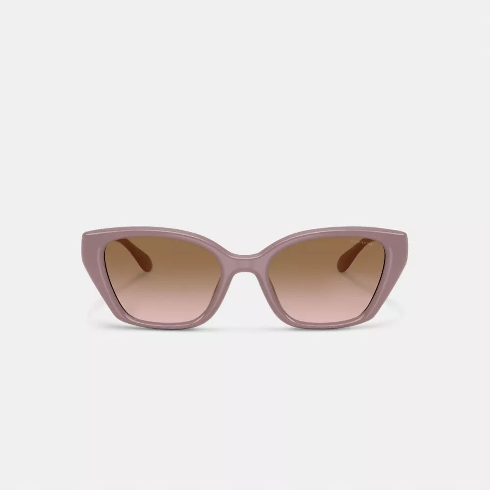 Lentes de sol cuadrados estilo ojo de gato con detalles metálicos en forma de C