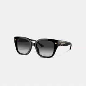 Lentes de sol cuadrados extragrandes Charms