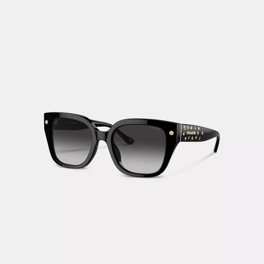 Lentes de sol cuadrados extragrandes Charms