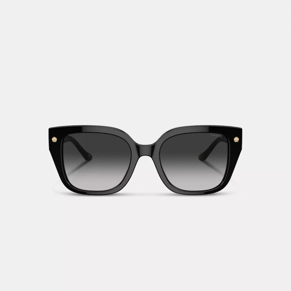 Lentes de sol cuadrados extragrandes Charms