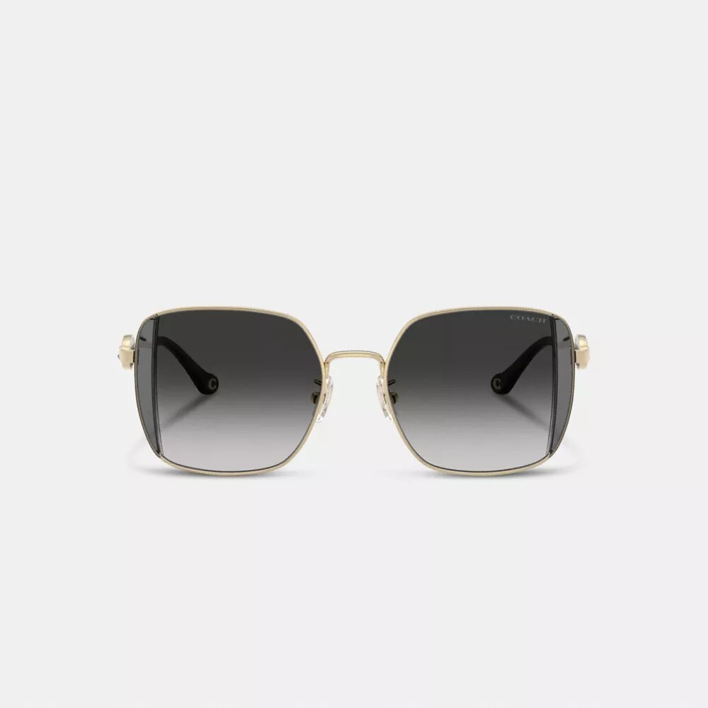 Lentes de sol cuadrados extragrandes de metal con motivo de Horse and Carriage