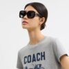 Lentes de sol cuadrados extragrandes «Maxi Sculpted C»