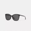Lentes de sol cuadrados Workmark exclusivos