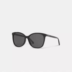 Lentes de sol cuadrados Workmark exclusivos