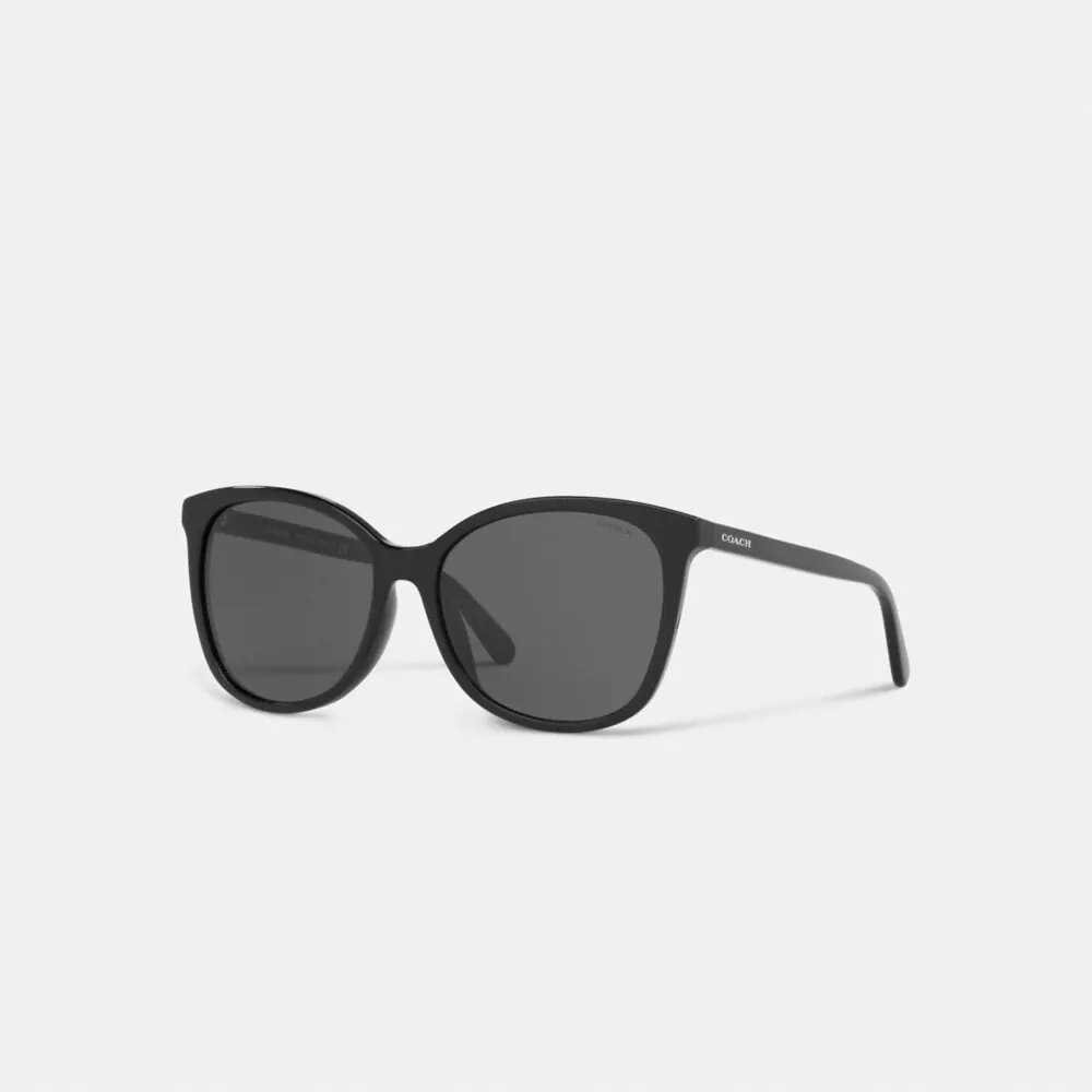 Lentes de sol cuadrados Workmark exclusivos