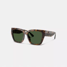 Lentes de sol de ojo de gato extragrandes