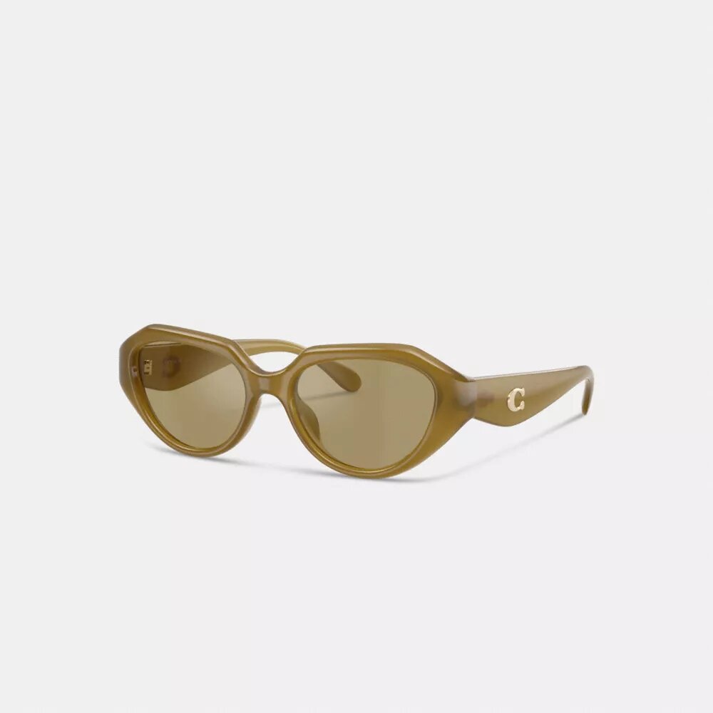 Lentes de sol geométricos con detalles de metal en forma de «C»