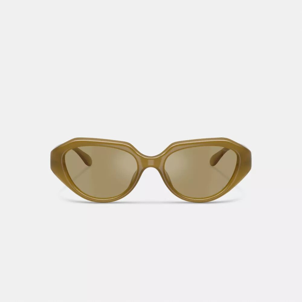 Lentes de sol geométricos con detalles de metal en forma de «C»