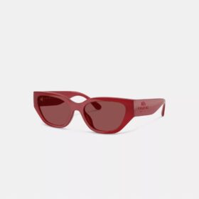 Lentes de sol geométricos estilo ojo de gato