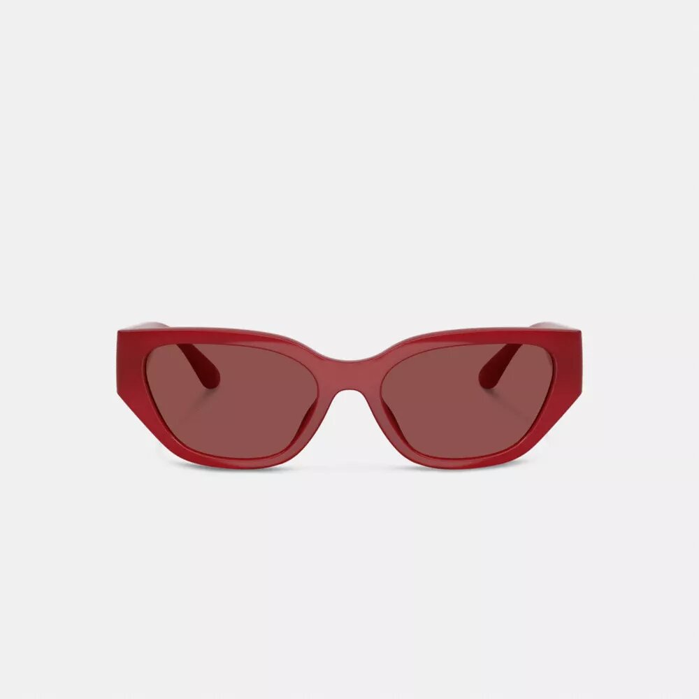 Lentes de sol geométricos estilo ojo de gato