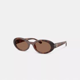 Lentes de sol ovalados estrechos