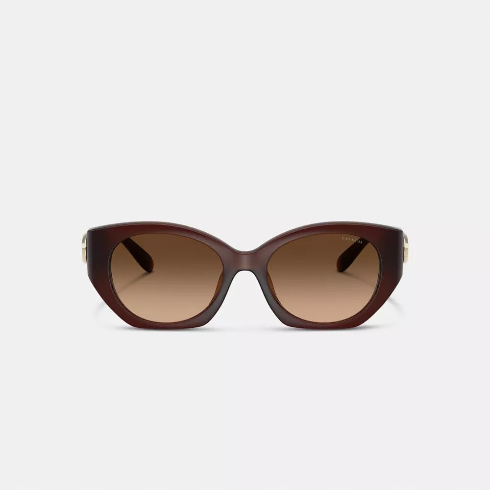 Lentes de sol ovalados Maxi Sculpted C