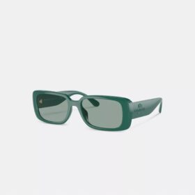 Lentes de sol rectangulares estrechos
