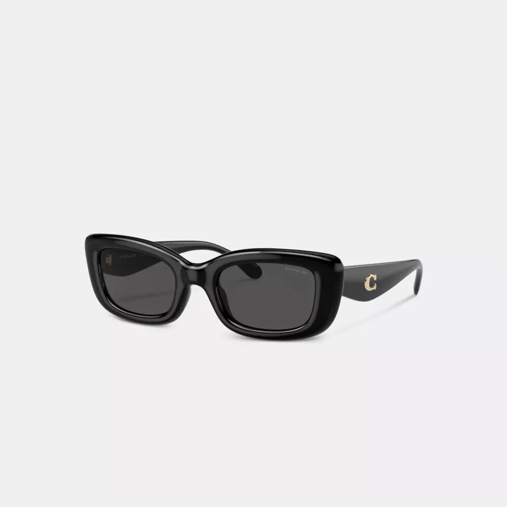 Lentes de sol rectangulares estrechos con herrajes «C»
