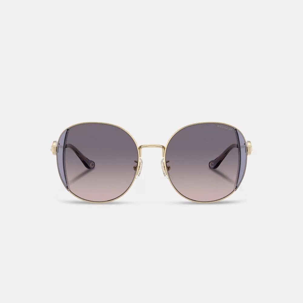 Lentes de sol redondas de metal con motivo de Horse and Carriage