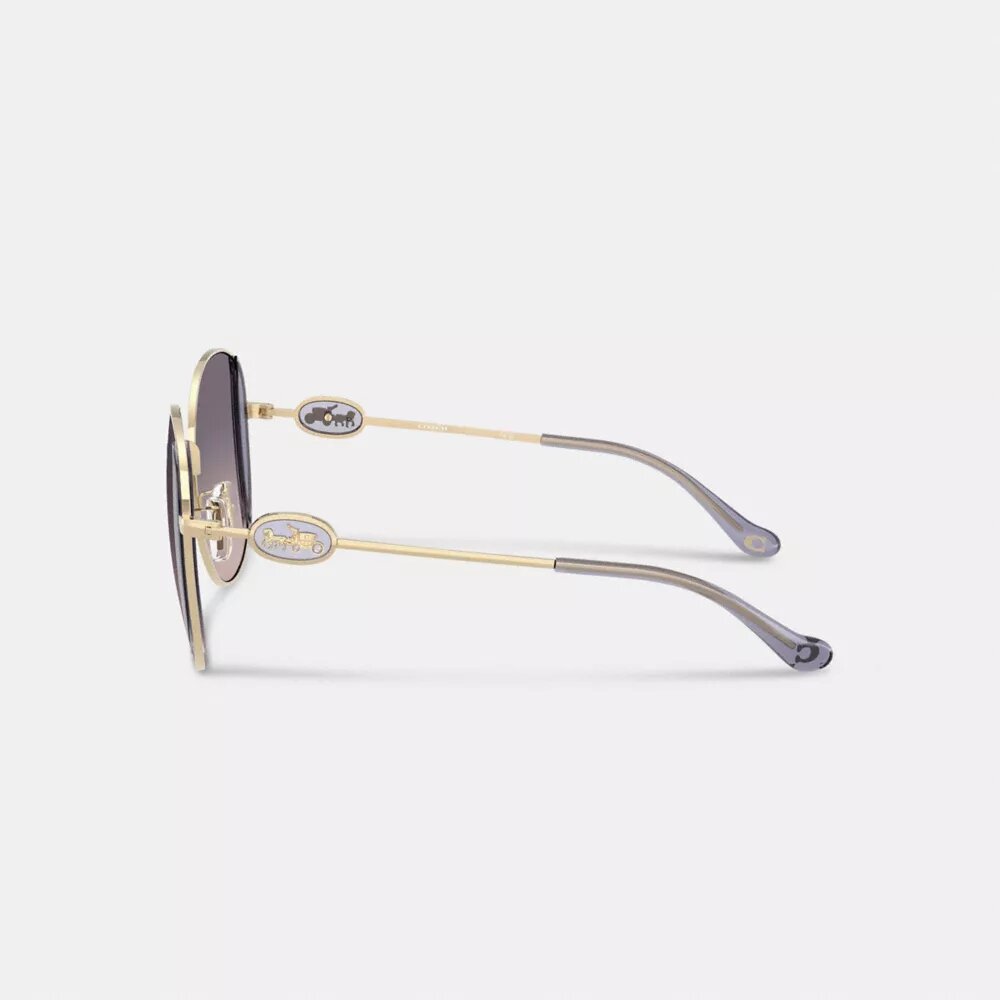 Lentes de sol redondas de metal con motivo de Horse and Carriage