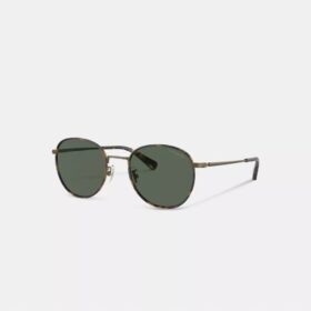 Lentes de sol redondas Windsor de metal