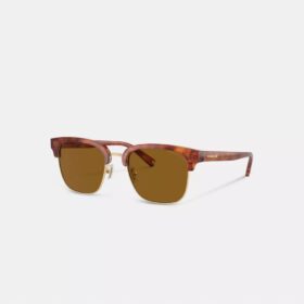 Lentes de sol retro