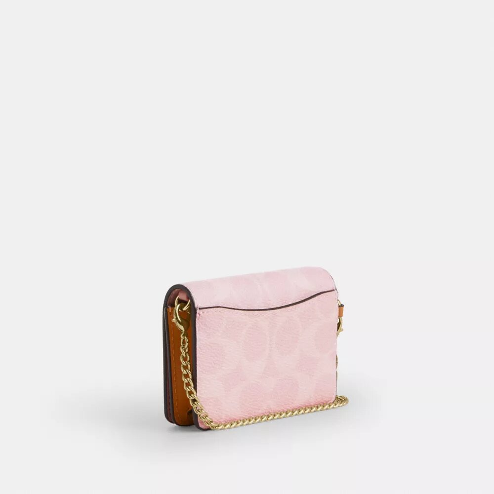 Mini cartera con cadena en Signature Canvas con Charms