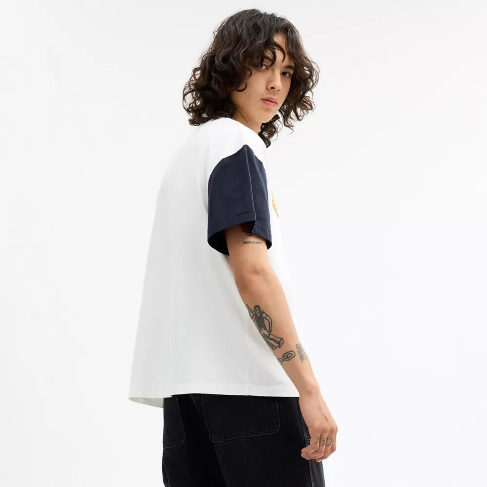 Partes de arriba y Partes de abajo de Coach