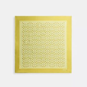Pañuelo cuadrado de seda con estampado texturizado exclusivo