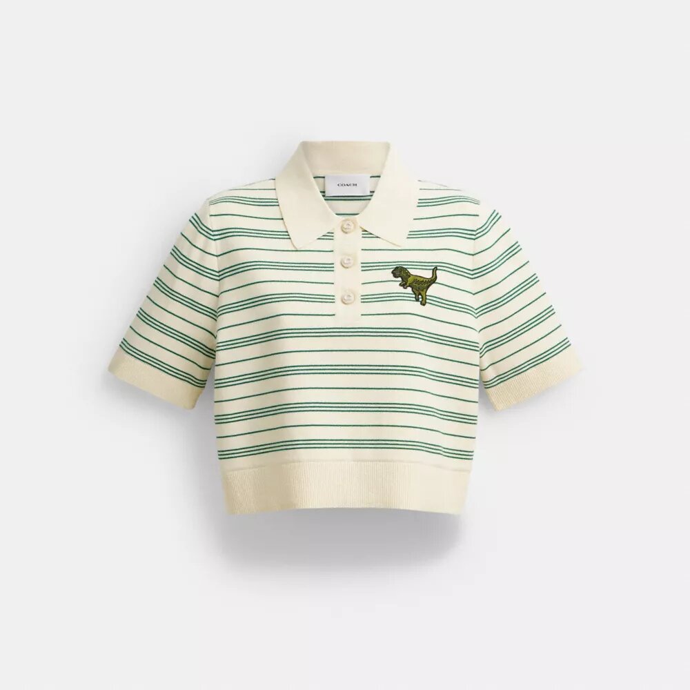 Polos del 10.º cumpleaños de Rexy