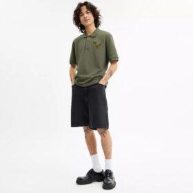 Polos del 10.º cumpleaños de Rexy