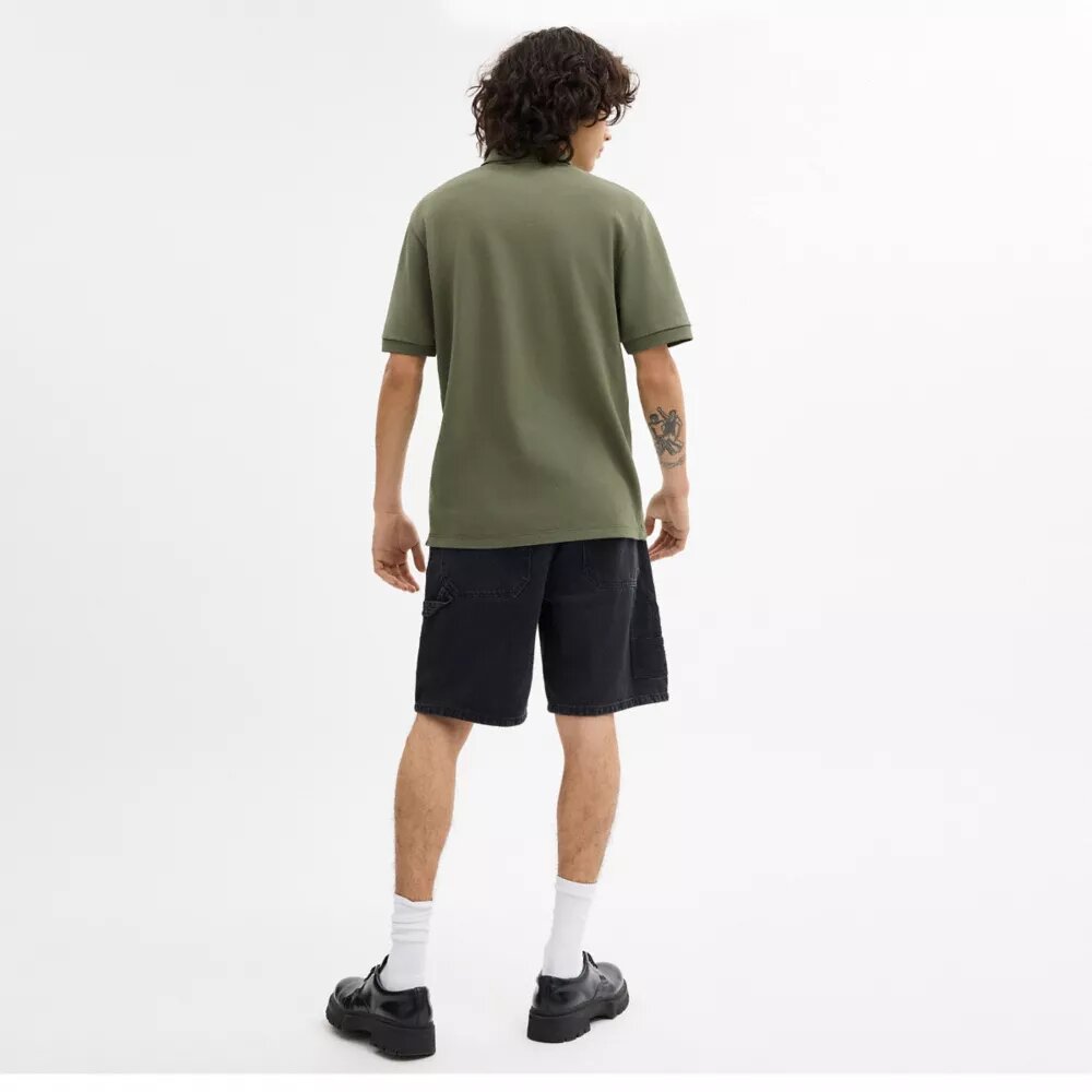Polos del 10.º cumpleaños de Rexy