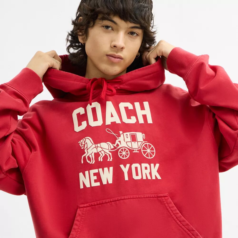 Sudadera con capucha «Horse and Carriage»